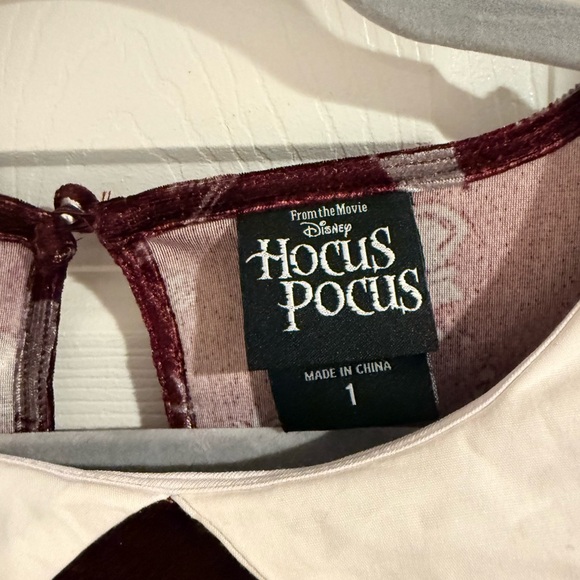 Disney Burgundy Dress with White Collar - Picture 2 of 5